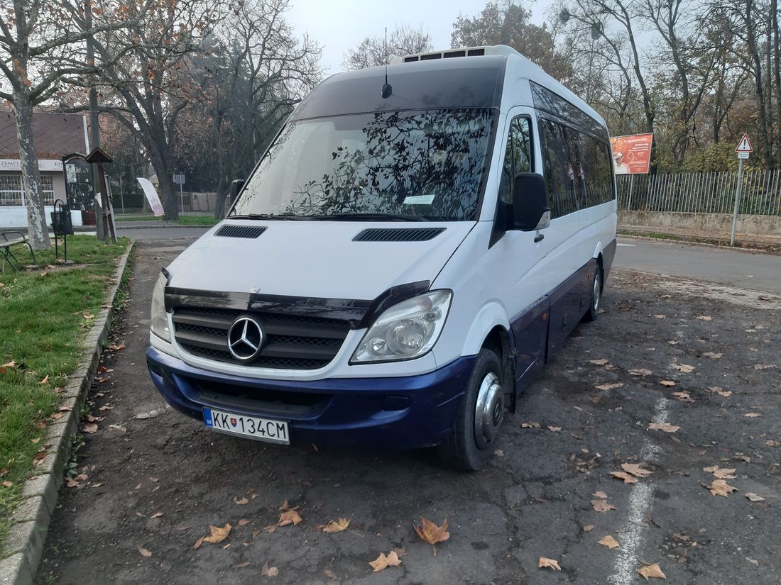 Minibus Mercedes-Benz Sprinter