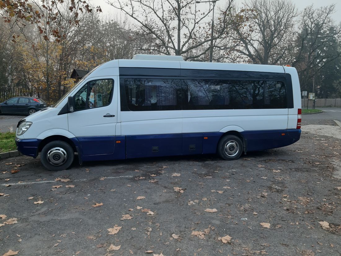 Minibus Mercedes-Benz Sprinter